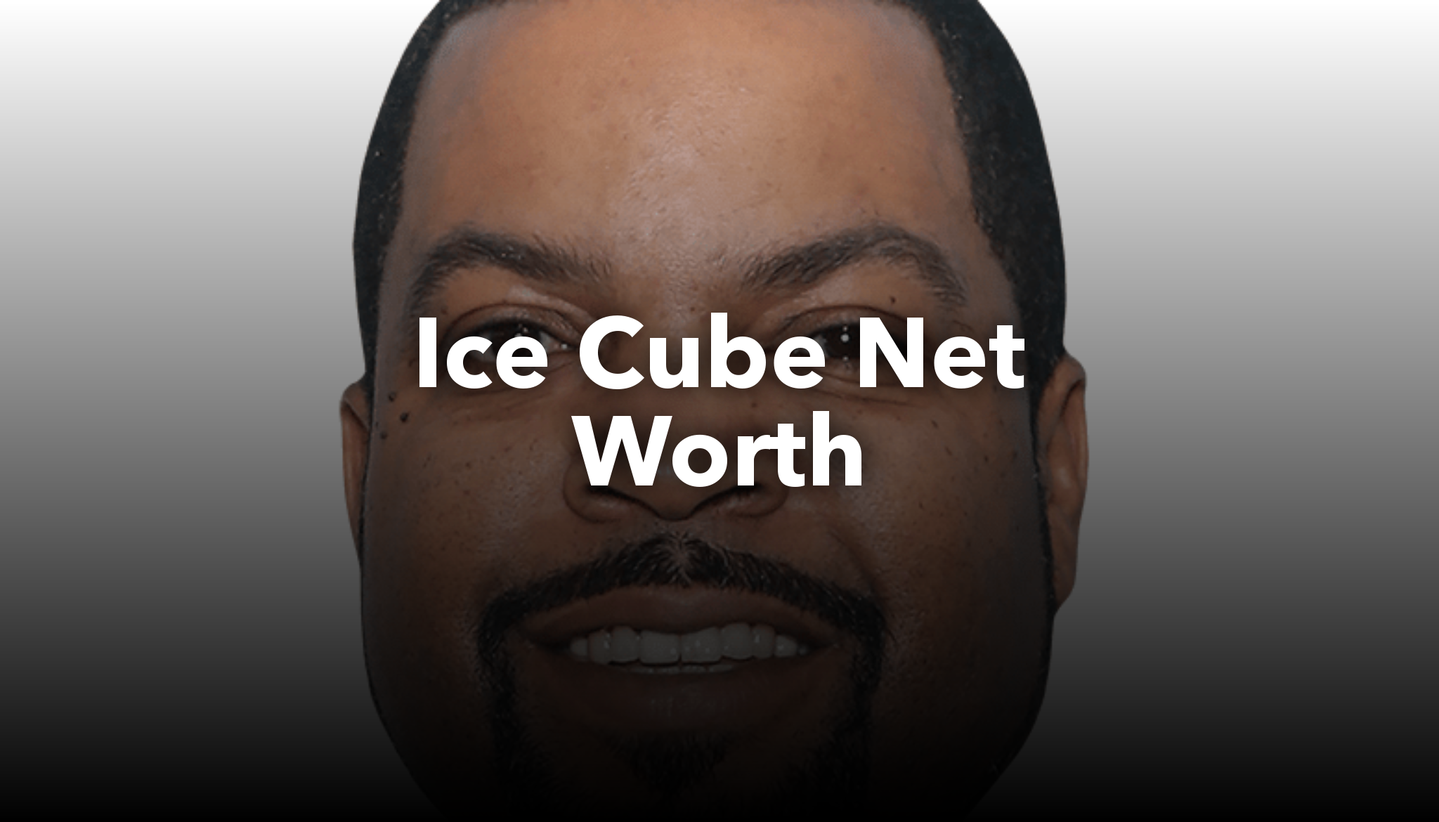 Ice Cube Net Worth Nichesss 5928